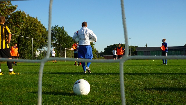 极参与国际 极参与国际