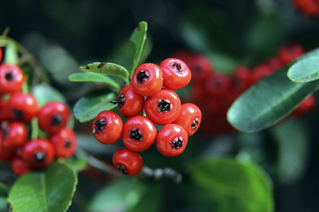 要更加稳固 要更加稳固