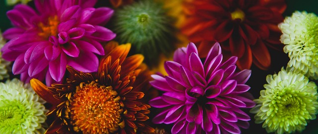 优秀球员 优秀球员