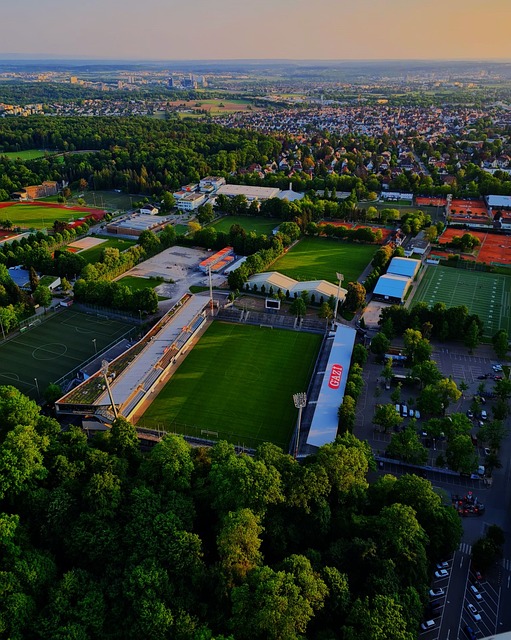 多的俱乐部 多的俱乐部