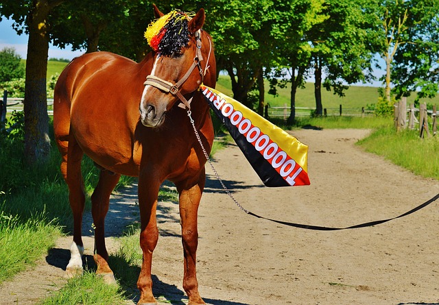 经过里尔的 经过里尔的