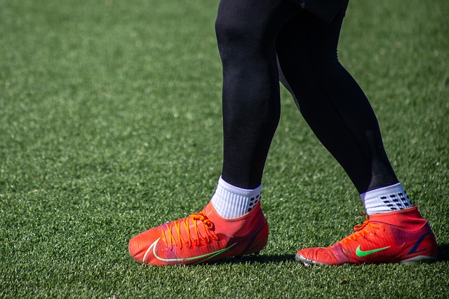 的评价不仅 的评价不仅