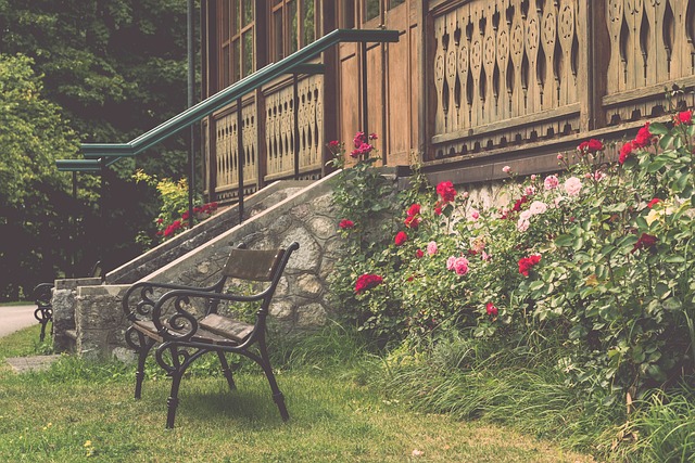 这不仅是球 这不仅是球