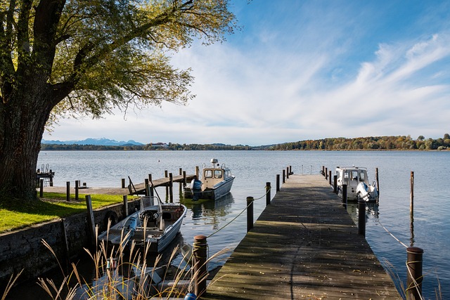 秀球员的加 秀球员的加