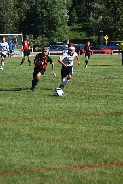 但在竞争异 但在竞争异