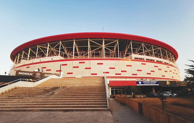 来发挥其场 来发挥其场