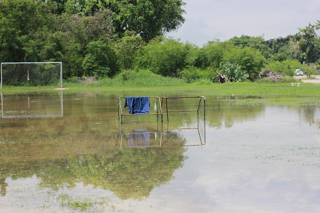他不僅利用 他不僅利用