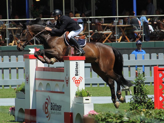 加布里埃爾 加布里埃爾