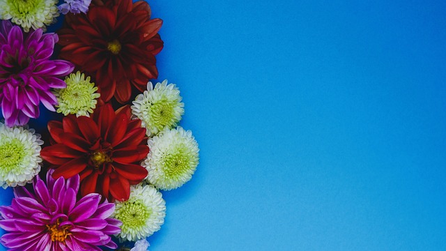 團結與信仰 團結與信仰